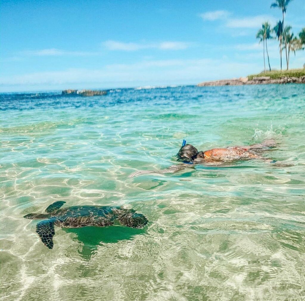 Underwater wildlife and snorkeling at Secret Beach, Ambergris Caye